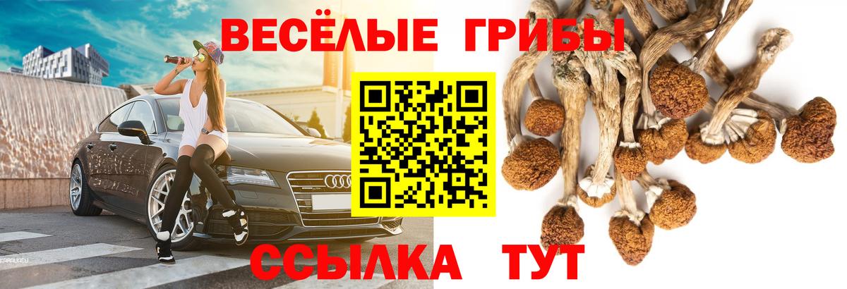 Галлюциногенные грибы Cubensis Десногорск